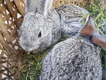 《夺宝奇兵：古老之圈》PC路径追踪开启前后对比